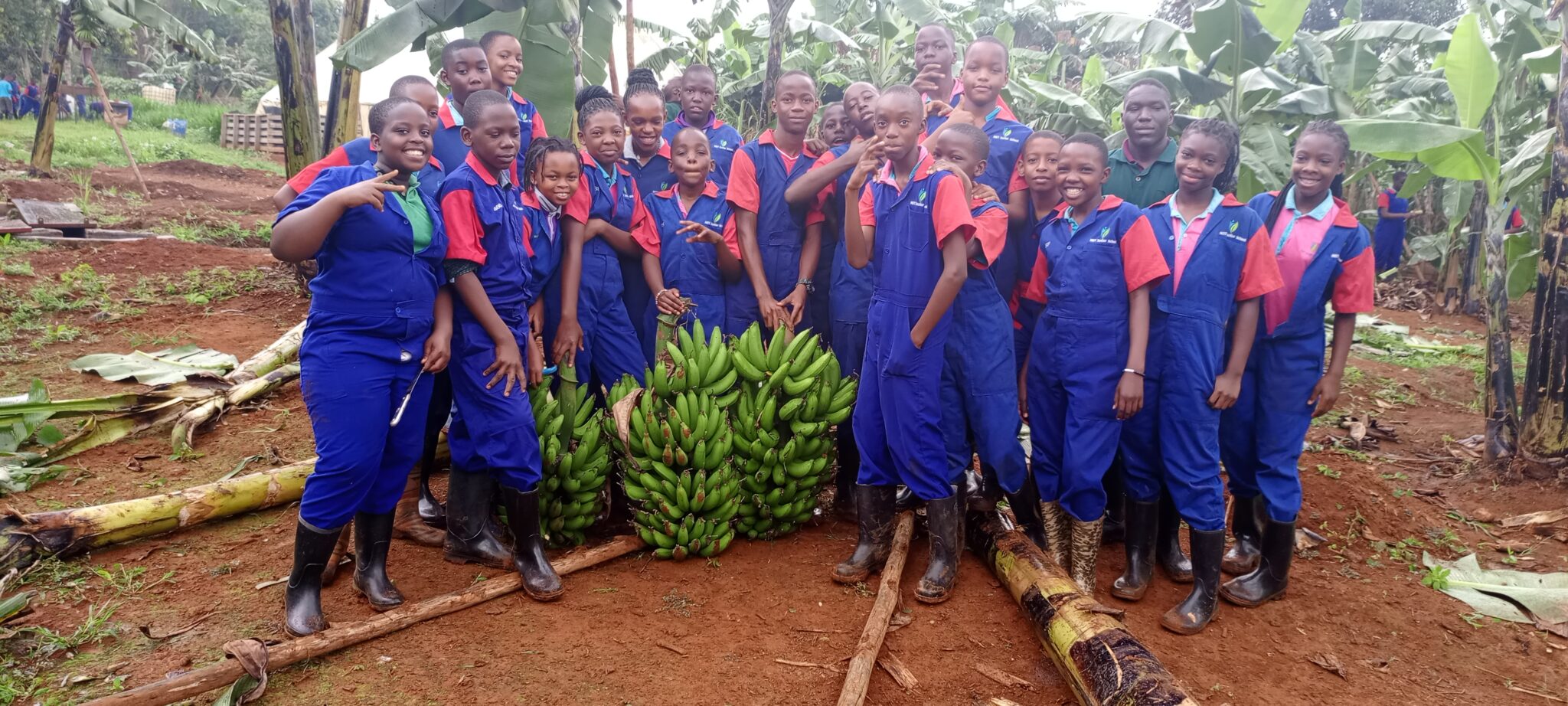 School Farm Project